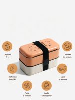boîte à déjeuner bento traditionnel