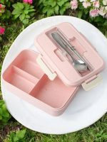 boîte bento écologique