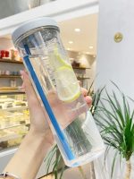gourde infuseur 700 ml