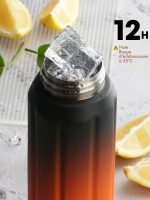gourde inox durable