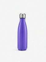 gourde isotherme élégante en inox