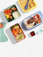 petite lunch box bento rectangle