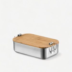 petite lunch box en inox
